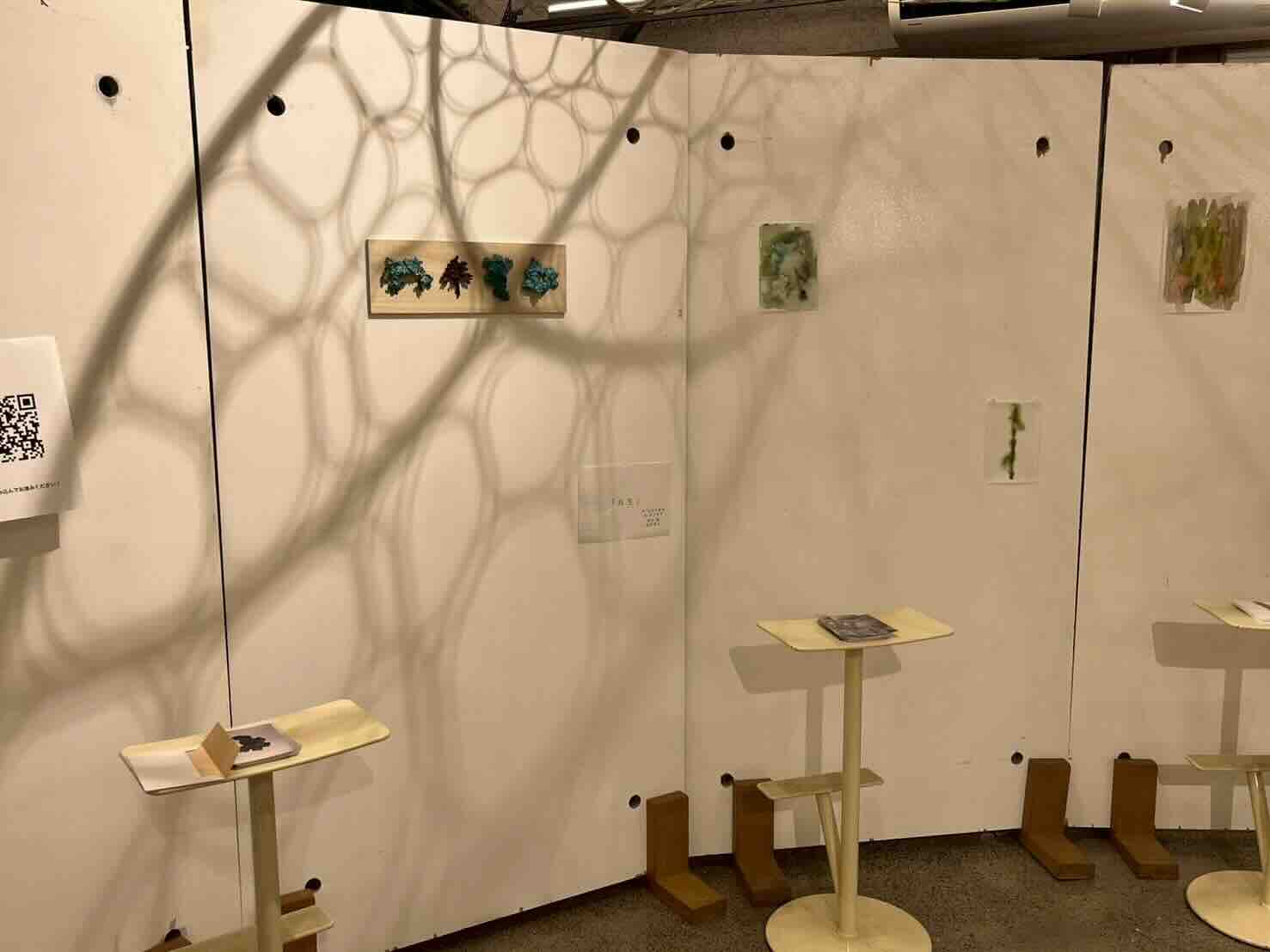 ミキキの交差点 地衣類（共生体）をテーマにした展示風景