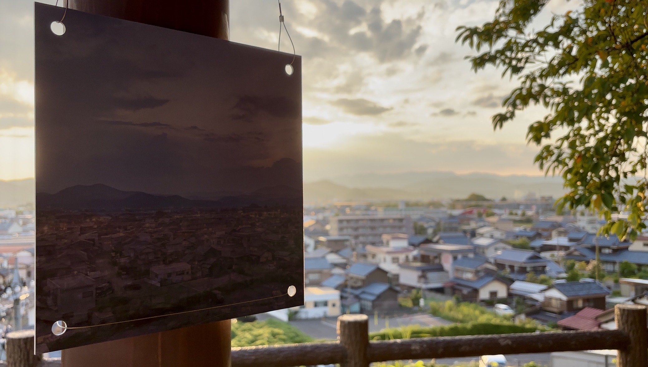夕景の中に浮かぶパネル展示風景
