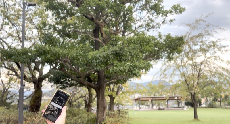 公園でWebARを体験する参加者